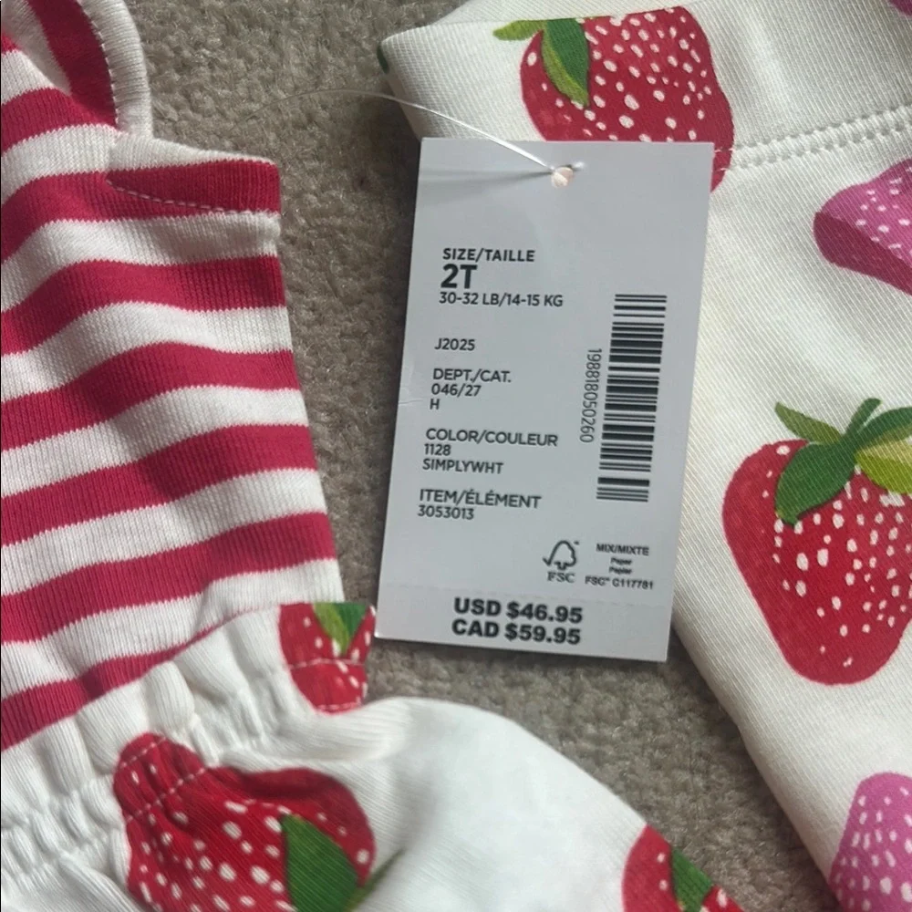 Gymboree charming casual